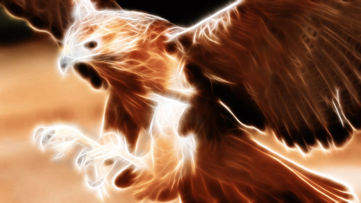 493238 (a): :1920x1080